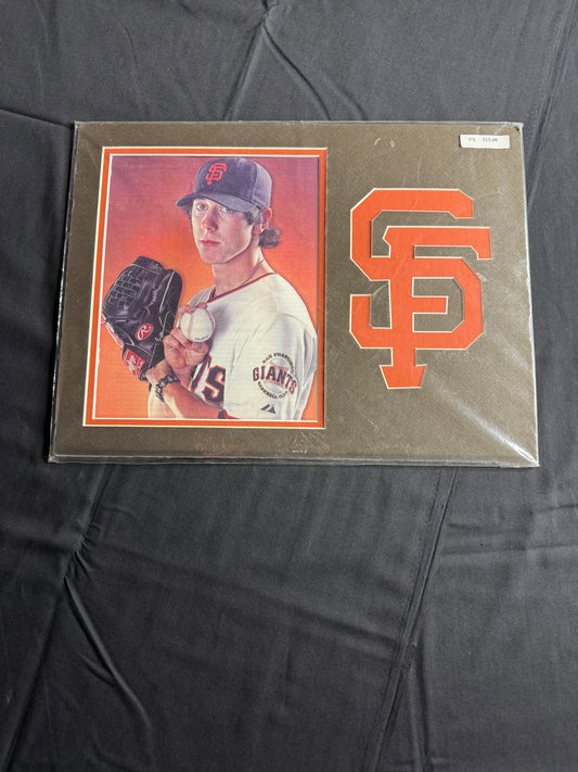 San Francisco Giants Player picture